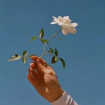 恋爱进行时果盘版下载